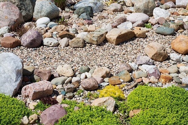 Rock Garden Ideas Garden Rocks Garden Rock Plants