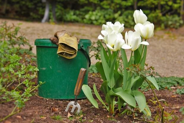 Gardening Tools Every Homeowner Needs Tools Used For Gardening