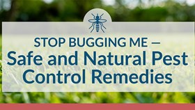 Stop Bugging Me: A Guide To Safe & Natural Pest Control Remedies