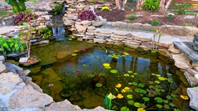Top 5 Ways Landscaping Can Lower Your Energy Bill In The Summer
