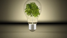 Going Green: How To Make The Switch Over