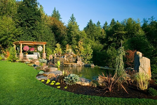 Natural Lawn Care Tips | Best Advice for Lawn Maintenance