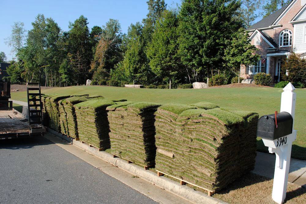 Where Can I Buy Pallets Of Grass Near Me - Buy Walls