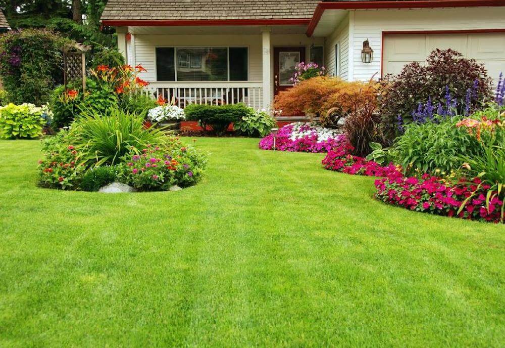 cheap lawn maintenance